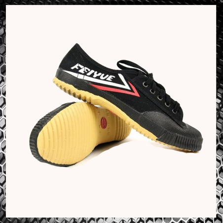 Feiyue Wushu Training Shoes