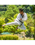 TAE KWON DO